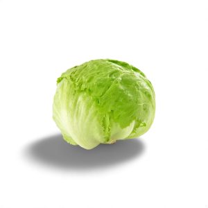 Iceberg Lettuce