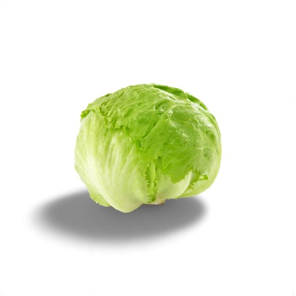 Iceberg Lettuce