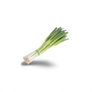 Fresh Spring Onions