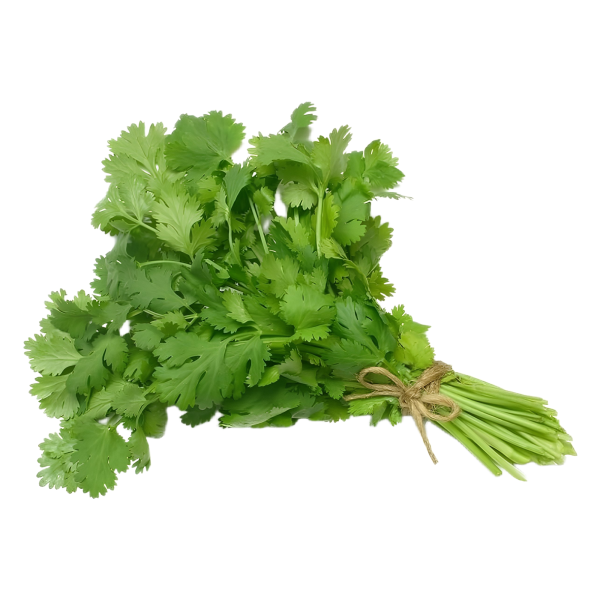 Fresh Coriander Leaves