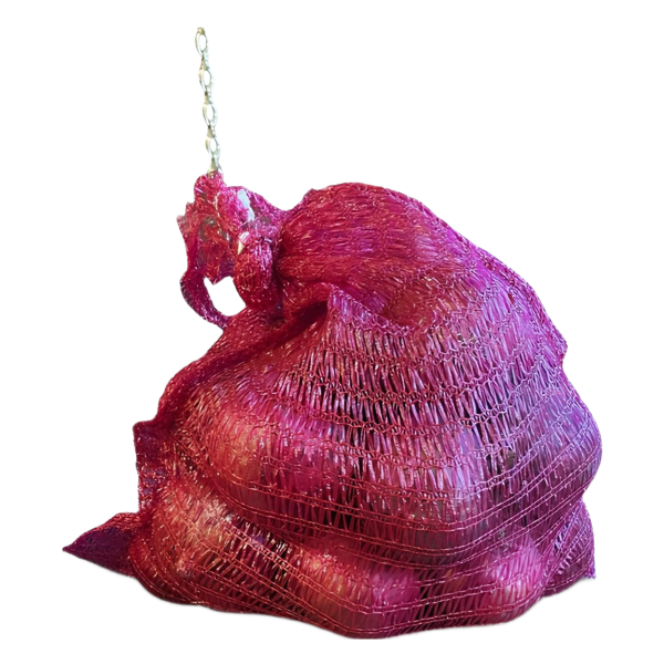 Big Onions – Red & Brown Varieties, Bulk & Pack Options - Image 5