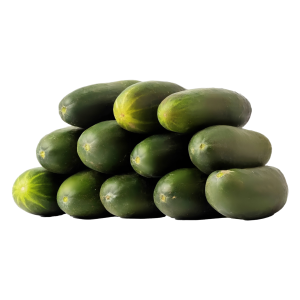Cucumber