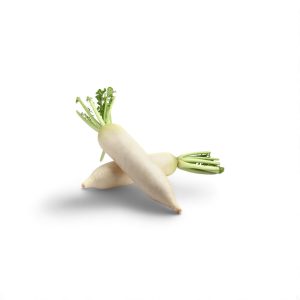 White Radish