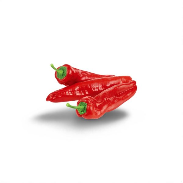 Romero (Long Pepper)