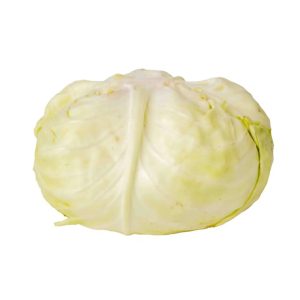 White Cabbage