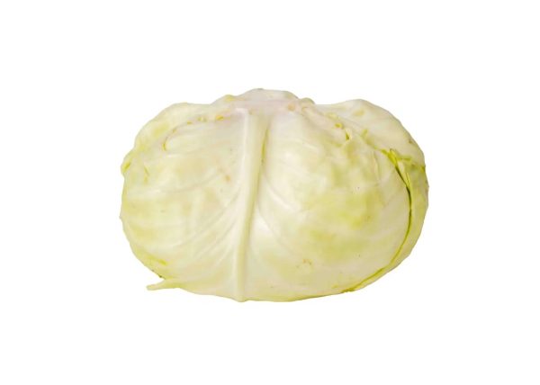 White Cabbage