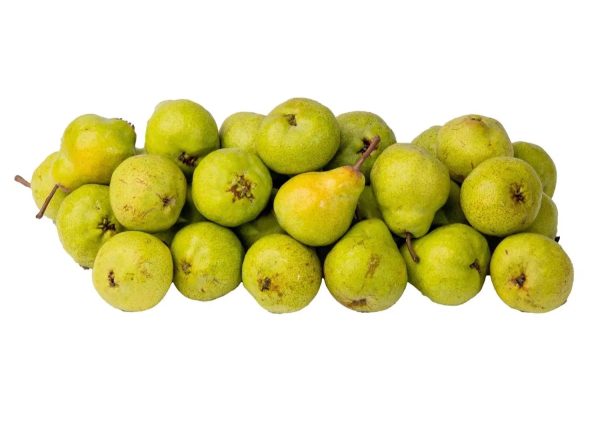 Rose Pear - Image 2