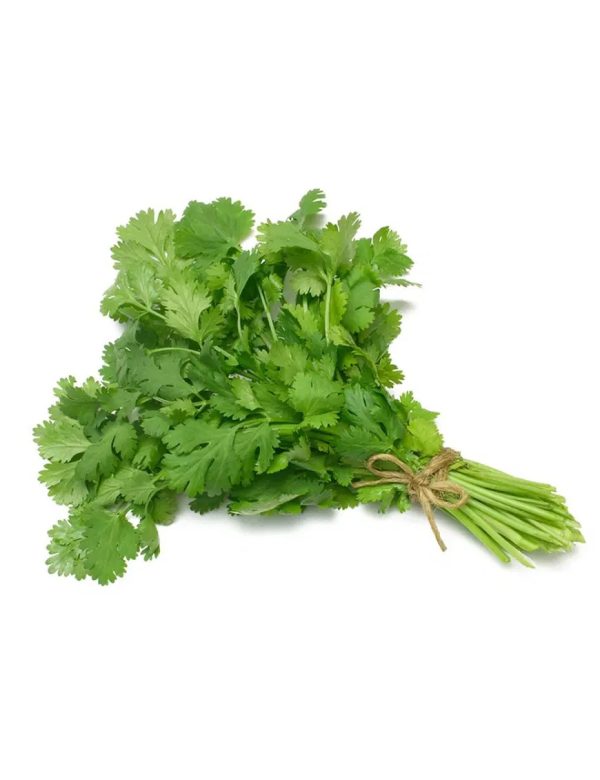 Fresh Parsley Leaves