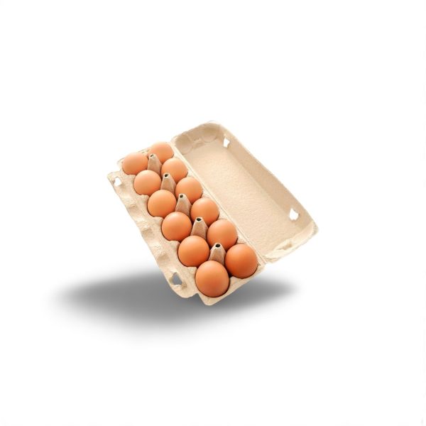 Egg (Pack of 12)
