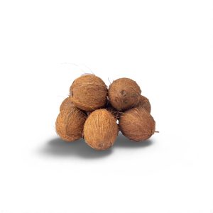 Coconut (Per Unit)