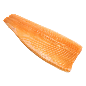 Fresh Salmon Fillets