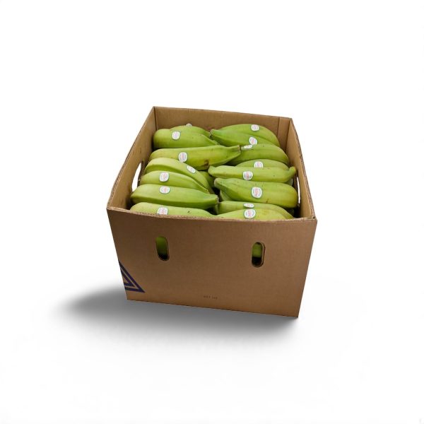 Fresh Unripe Plantain - Image 2